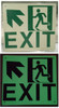 PHOTOLUMINESCENT EXIT SIGNAGE HEAVY DUTY / GLOW IN THE DARK "EXIT" SIGNAGE HEAVY DUTY