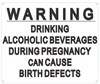Warning: Drinking Alcoholic Beverages During Pregnancy CAN Cause Birth Defects Sign