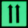 PHOTOLUMINESCENT 2 UP ARROWS SIGNAGE The Liberty Line