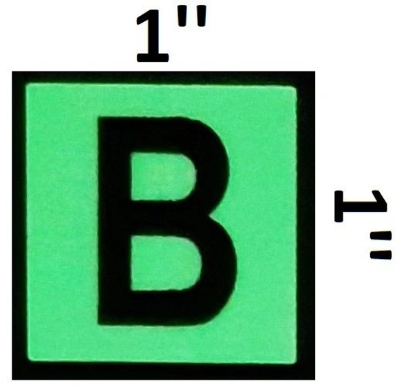 PHOTOLUMINESCENT DOOR NUMBER B SIGNAGE PHOTOLUMINESCENT DOOR NUMBER B SIGNAGE