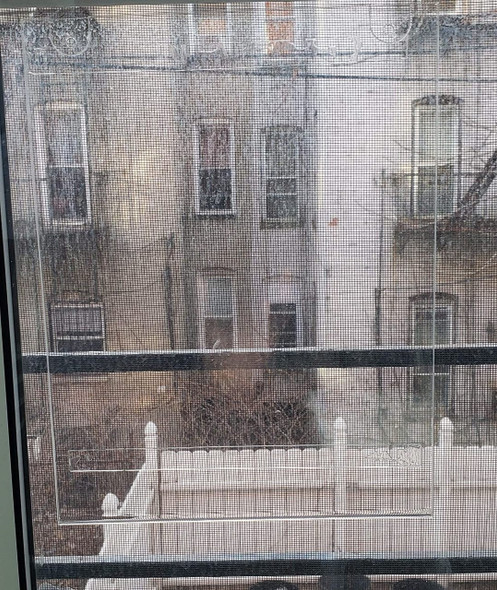 NYC Restaurant Letter Grade Frame NYC Restaurant Letter Grade Frame