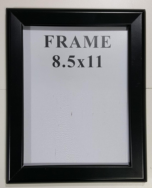 Black Snap Frame 8.5x11/Black Poster Frame -