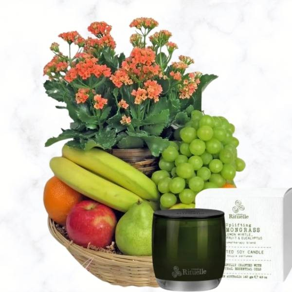 Australia's Best Gift Hampers and Fruit Baskets iGift Hampers