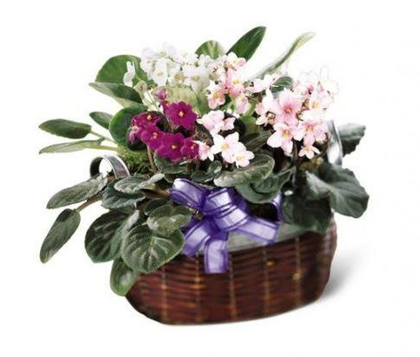 Flower Delivery | New Unique Gift Giving Ideas