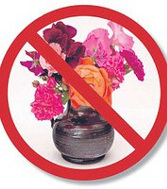Hospital Gifts - perfect because flowers are not welcome Hospital Gifts - perfect because flowers are not welcome
