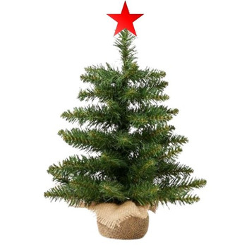Christmas Tree with Lights
