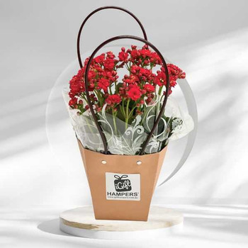 Plant Gifts in a Charming Bag by iGift Hampers