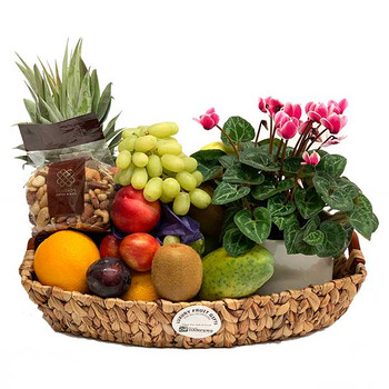 Gift Hamper + Plant with Mixed Nuts