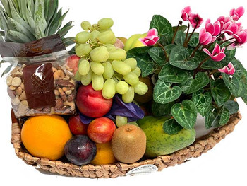 Plant Gifts with Fruit + Nuts