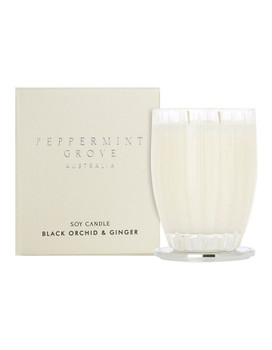 Black Orchid & Ginger Large Candle 350g - Peppermint Grove Candles