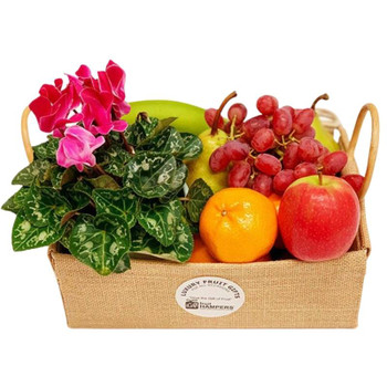 Plant Gift Basket with Fruit