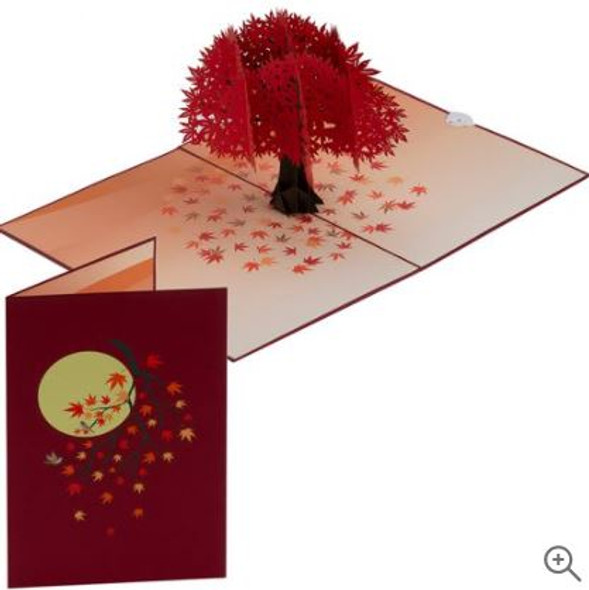3D Pop Up Card | Upgrade to deluxe card - Style will match your card choice