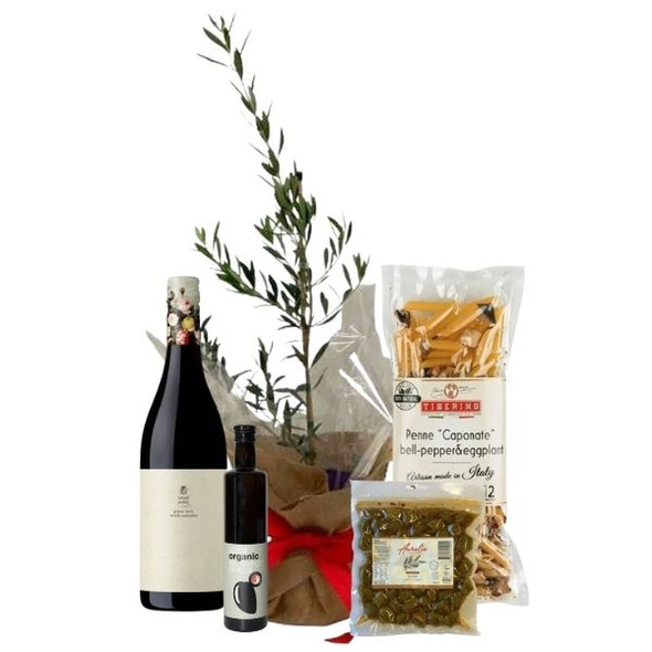 Olive Tree Gifts Australia | Olive Tree Gift with Pinot Noir