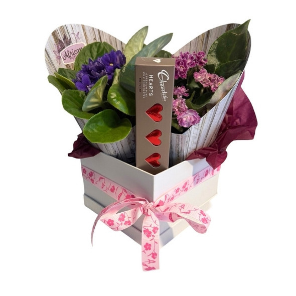 Gifts for Plant Lovers Gifts for Plant Lovers