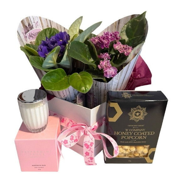 indoor plant gifts indoor plant gifts