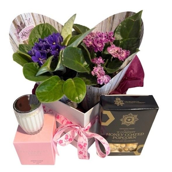 house plant gifts house plant gifts