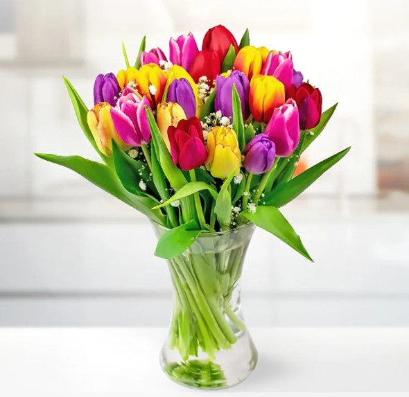 Bright Beautiful Tulips | Flowers Delivery