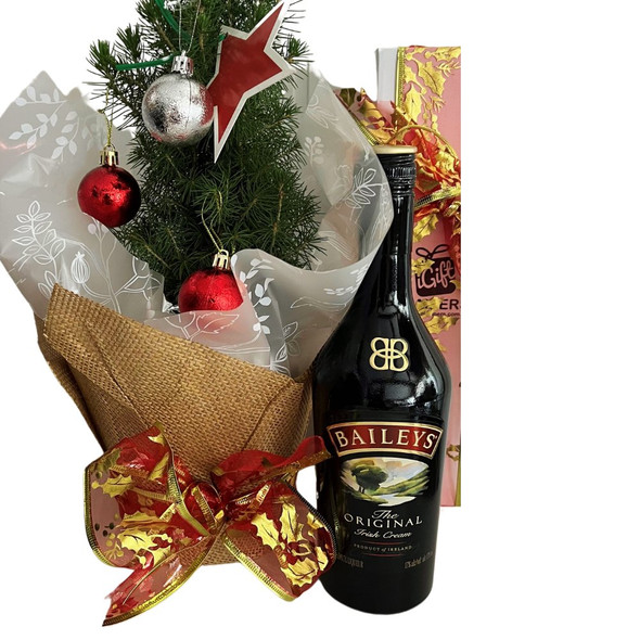 Christmas Baileys Gift Ideas