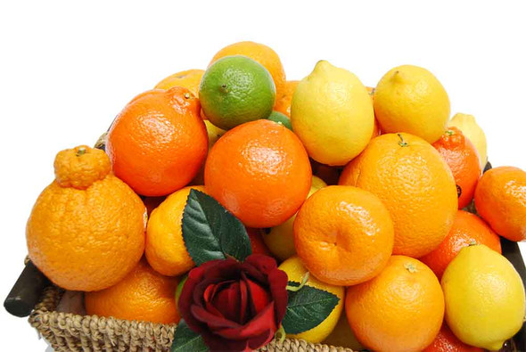 Get Well Hamper - Citrus Fruits