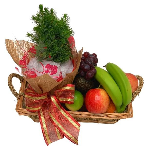 Christmas Basket - Mini Fruit Basket with Christmas Tree