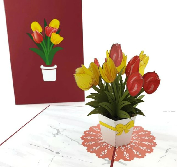 Tulips Flowers Plant Pop up card
