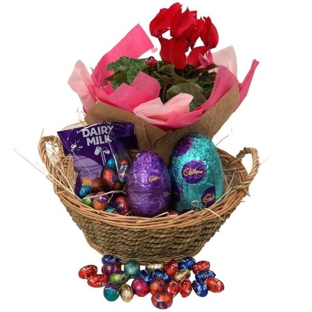 Easter Gifts - Flowering Plant Easter Basket