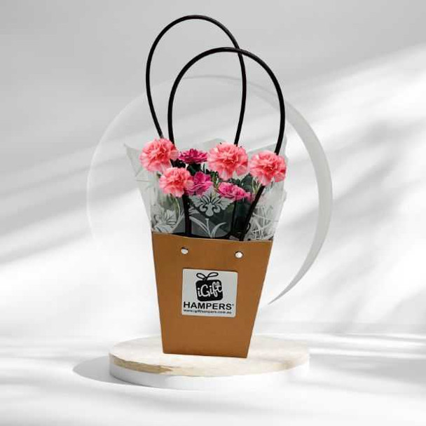 Carnation Gift - Plant Gift Bags