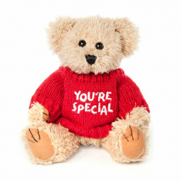 Teddy Gift | Message Bear - "You're Special"