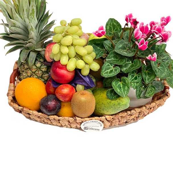 Hamper With A Plant