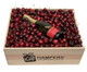 Christmas Hampers + Cherries + Wolf Blass Chardonnay Pinot Noir