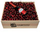 Cherry Christmas Hamper with Rumball Sparkling Shiraz