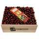 Cherry Wood Box | Lindt Chocolate + Cherries