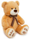 Steve Cute Bear 60cm | Large Plush Teddy
