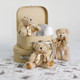 Light Brown Small William Teddy Bears