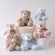 Super Soft Teddy Bear Collection