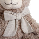 Brown Soft Teddy Bear