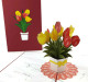 Tulips Flowers Plant Pop up card