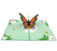 Pop Up Cards | Orange Butterfly