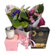 indoor plant gifts indoor plant gifts