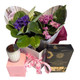 house plant gifts house plant gifts