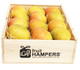 Calypso Mango | Deluxe Mango Gift Box - Large