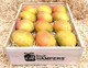 Mango Gift Box surrounded by straw wool