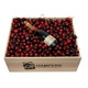 Champagne Cherry Gifts Champagne Cherry Gifts