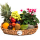 Fruit Basket | Flower Hampers | Plant Gift Delivery