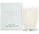 Wild Jasmine & Mint Small Candle 60g - Peppermint Grove