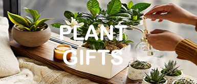 gifts-for-plant-lovers.jpg