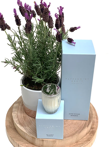 lavender-candle-diffuser-gift-box.jpg