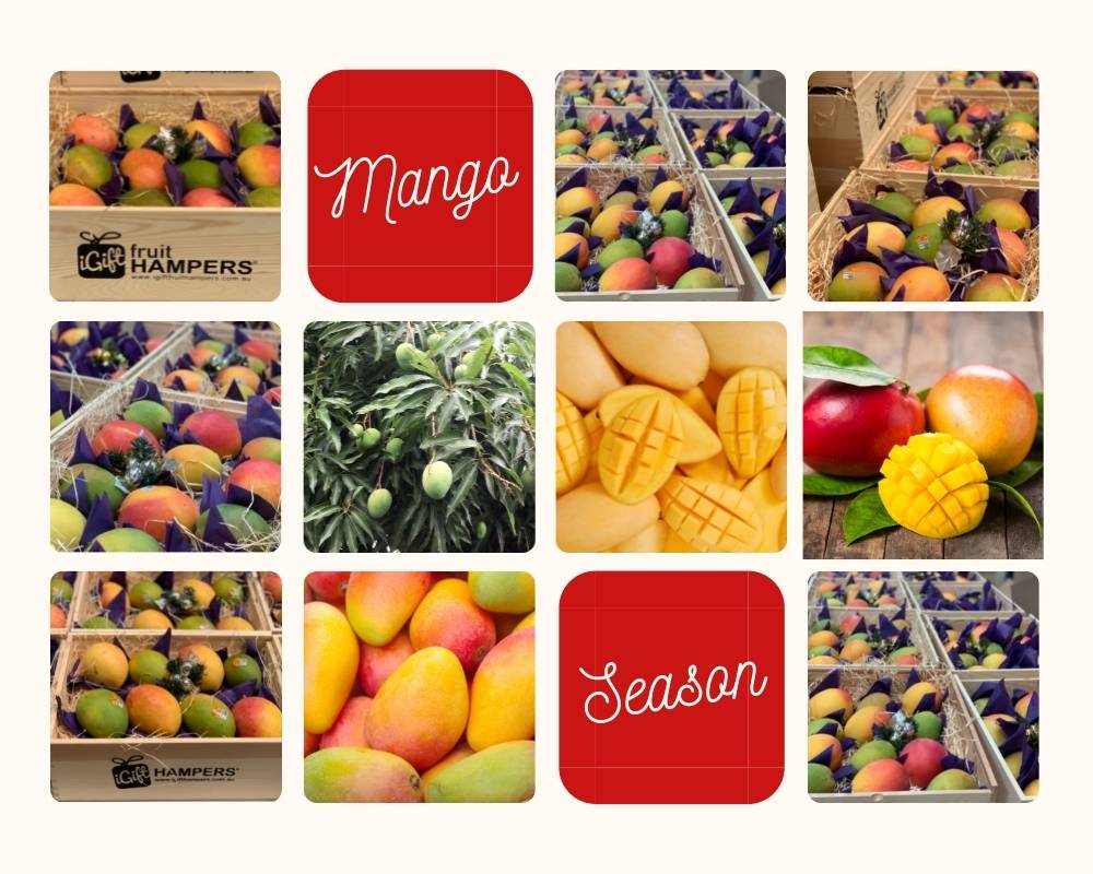 mango-season-gifts.jpg