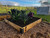 Quality timber raised bed