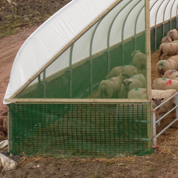 northern polytunnels sheep shelter 
